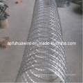 Beautiful and Safety Galvanized Razor Wire